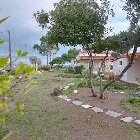 איה אנה Vintage Beach House מראה חיצוני תמונה